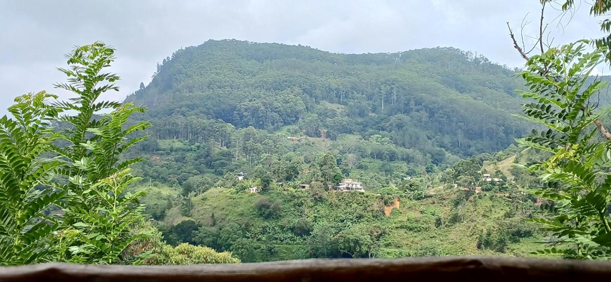 Sunlit Cottage 埃拉 外观 照片
